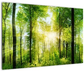 Tablou - Răsărit în pădure (90x60 cm)