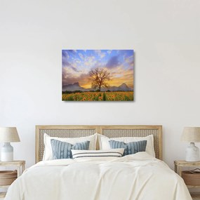 Tablou pe sticlă - Peisaj cu floarea soarelui (70x50 cm)