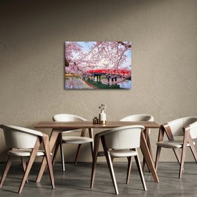 Tablou - Hirosaki, Japonia (70x50 cm)