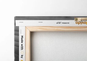 Tablou piatră relaxantă în design alb-negru