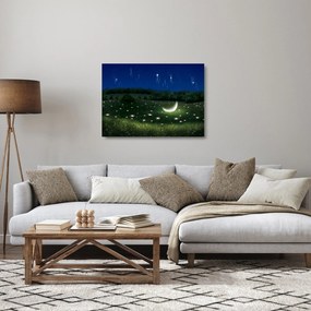 Tablou pe sticlă - Cer căzător (70x50 cm)