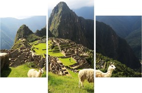 Tablou - Lame in Machu Picchu (90x60 cm)