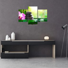 Tablou cu pietre pentru masaj și orhidee (90x60 cm)