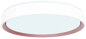 Plafonieră LED dimabilă cu control vocal OPAL LED/48W/230V + telecomandă