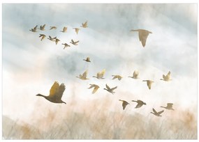 Fototapet - Golden Geese
