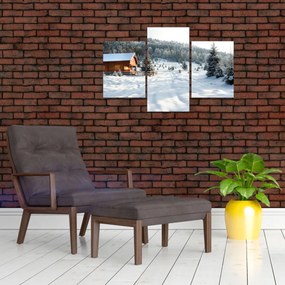 Tablou - Cabană de munte (90x60 cm)