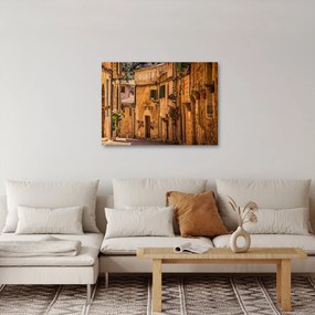 Tablou - Strada din Spania (70x50 cm)