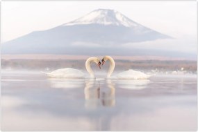 Tablou - Lebede îndrăgostite (90x60 cm)