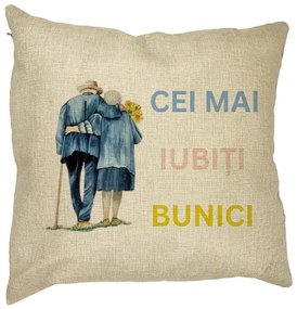 Perna Decorativa pentru Bunici 7, 40x40 cm, Husa Detasabila, Burduf