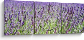 Tablou - Lavandă în câmp (cu ceas) (90x30 cm)