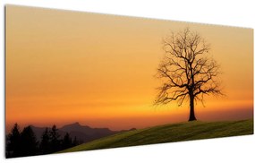 Tablou cu apus de soare pe o luncă (120x50 cm)