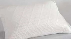 Perna visco, Homs 50 x 70 cm.00200