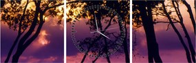 Tablou - Copaci la apus de soare (cu ceas) (90x30 cm)