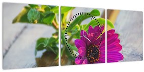 Tablou flori tăiate (cu ceas) (90x30 cm)