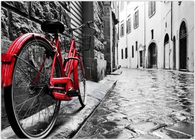 Tablou - Bicicleta roșie pe o stradă pavată (70x50 cm)