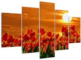 Tablou - lan înflorit de lalele (150x105 cm)