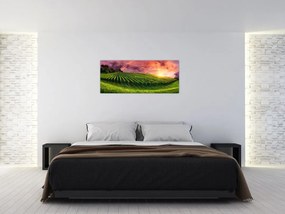 Tablou cu vie cu cerul color (120x50 cm)