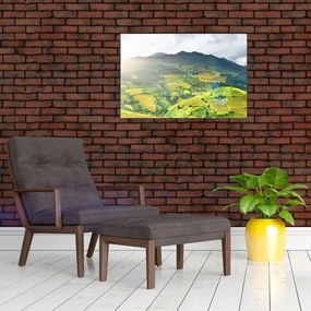 Tablou plantație (90x60 cm)