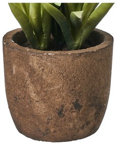 Plante artificiale 4 buc. (înălțime 10 cm) Cactus – Casa Selección