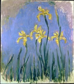Monet, Claude - Artă imprimată Yellow Irises; Les Iris Jaunes, c.1918-1925, (35 x 40 cm)