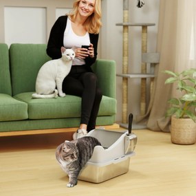 PawHut Litieră din oțel inoxidabil, toaletă pentru pisici, margini înalte, curățare ușoară, 43,1x33,2x25,4cm, gri | Aosom Romania