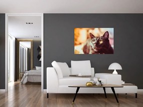 Tablou pisica neagră (90x60 cm)