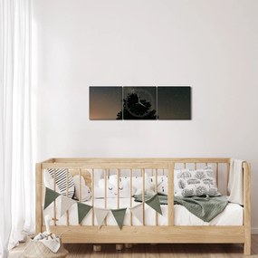 Tablou cu cerul nocturn și copaci (cu ceas) (90x30 cm)
