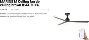 Ventilator tavan de exterior smart sistem TUYA si telecomanda IP44 MARINE M maro