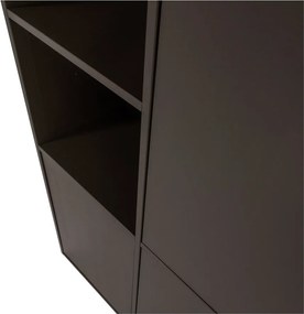 Dulap modular maro închis din lemn de pin 108x215 cm Meggy – WOOOD