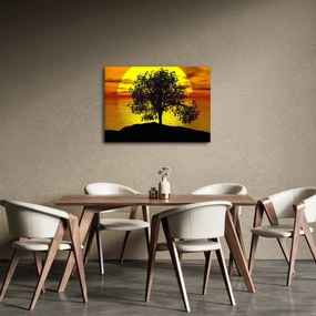 Tablou - Silueta copacilor (70x50 cm)