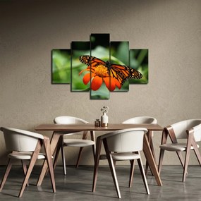 Tablou cu fluture pe floare (150x105 cm)