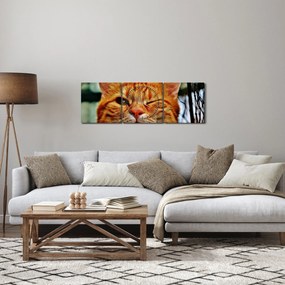 Tablou - Pisica suspicioasă (cu ceas) (90x30 cm)