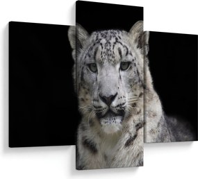 Tablou - Snow Leopard (90x60 cm)