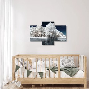 Tablou - Albă ca Zăpada Albă ca Zăpada Copaci (90x60 cm)
