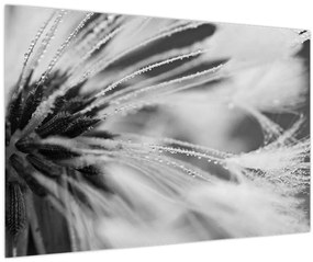 Tablou - Macro,alb-negru (90x60 cm)