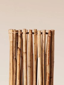 Lampadar din rattan, Savana