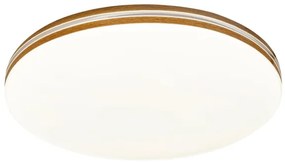 Rabalux 2763 - Plafonieră LED OSCAR, 1xLED/18W/230V, rotundă, cromată