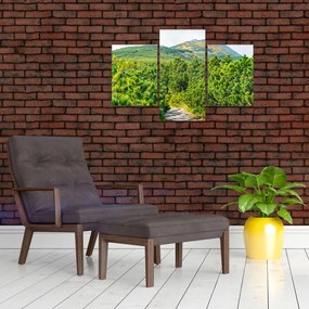 Tablou - Babi Hora, Polonia (90x60 cm)