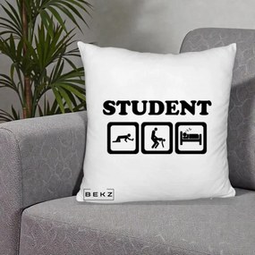Perna Decorativa Student Life, 40x40 cm, Alb Pufos, Husa Detasabila, Perna Inclusa, BEKZ®