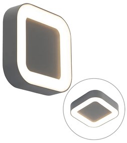 Lampă de perete și plafon gri pătrat IP54 - Ariel