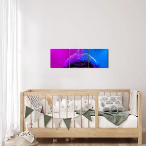 Tablou - Imaginea buzelor colorate (cu ceas) (90x30 cm)