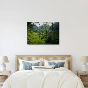 Tablou pe sticlă cu terasele cu orez Tegalalang, Bali (70x50 cm)