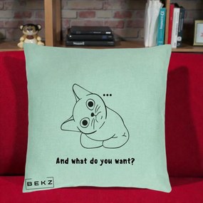Perna Decorativa And What Do You Want Cat, 40x40 cm, Verde Menta, Husa Detasabila, Perna Inclusa, BEKZ®