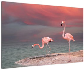 Tablou - Flamingo (90x60 cm)