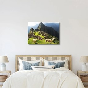 Tablou - Machu Picchu (70x50 cm)