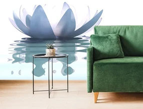 Tapet floare de lotus