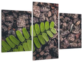Tablou cu planta verde (90x60 cm)