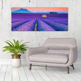 Tablou - Câmp de levănțica (120x50 cm)