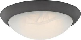 Westinghouse 6308940 - Plafonieră LED reglabilă LED/15W/230V