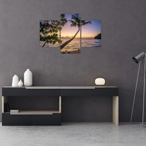 Tablou cu palmier pe plajă (90x60 cm)